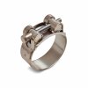 Fortisflex Хомут силовой ROBUST SR 20-22/W2 80566